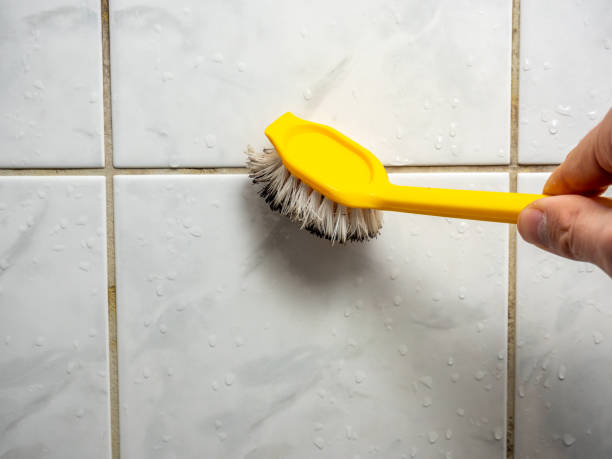 Best Mold Remediation for Specific Building Types in Nemacolin, PA