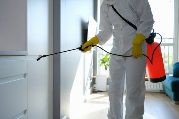 Best Post-Flood Mold Remediation in Nemacolin, PA