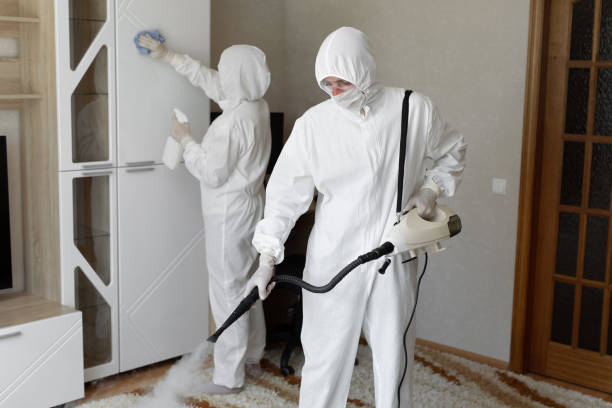 Best Industrial Mold Remediation in Nemacolin, PA