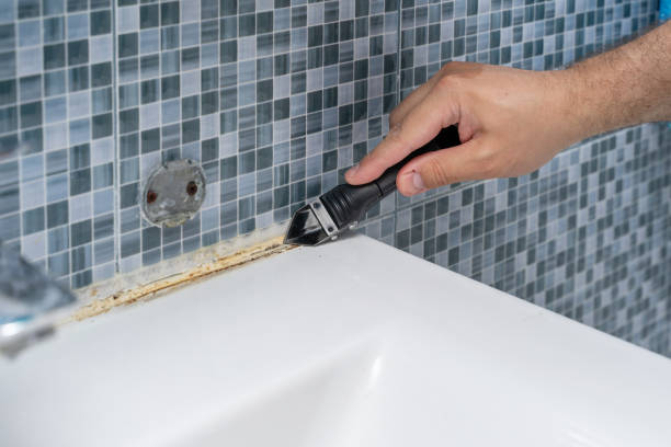 Best Commercial Mold Remediation in Nemacolin, PA