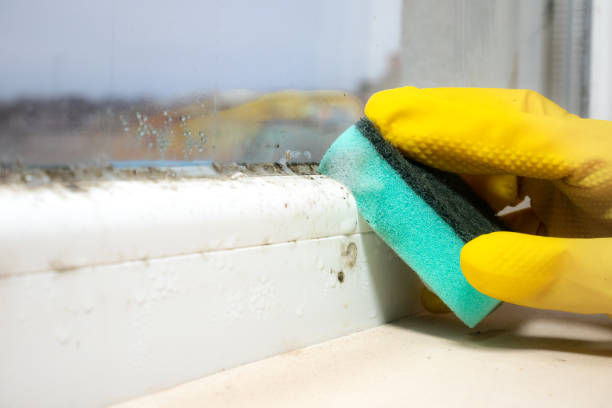 Best HVAC Mold Remediation in Nemacolin, PA